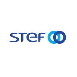 STEF jobs logo
